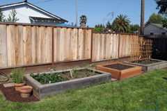 The Third Garden Bed