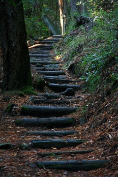 Boot Jack Trail