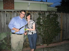 The Reams and our roses before the pruning