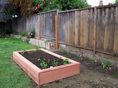 Our First Garden