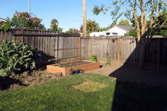 New Garden Bed & Plants