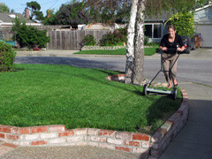 The first lawn mowing - by us that is