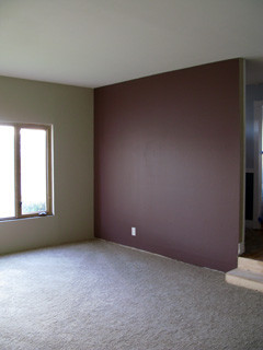 Painted Walls & Carpet!