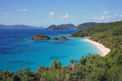 Overlooking Trunk Bay
