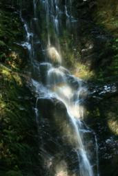 Berry Creek Falls