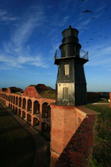 Harbor Light