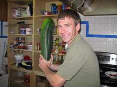 Our enormous zucchini