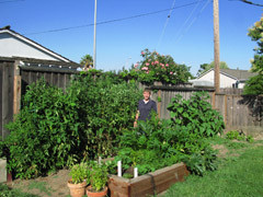 Our little garden