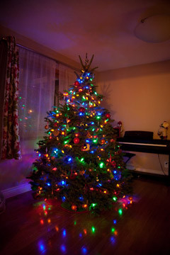 Our Christmas Tree