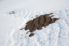Snow & Sand Lines