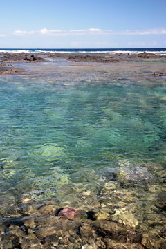 Ocean Tide Pools
