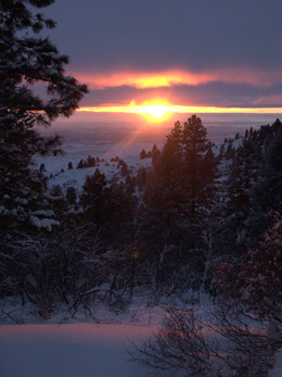 Sunset