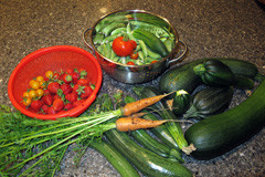 A portion of the harvest!