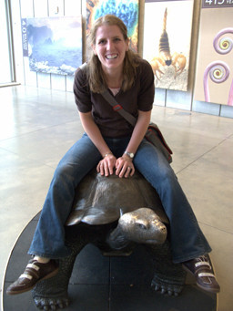 Me & The Bronze Turtle